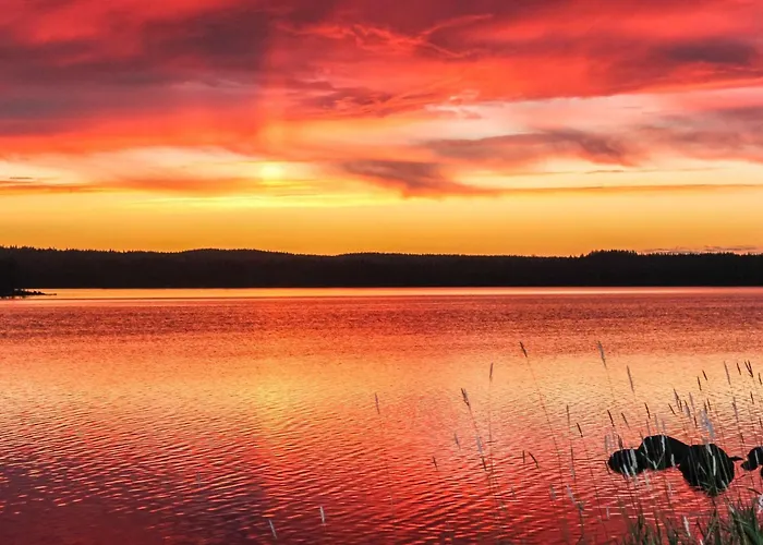 Hamppulahti By Interhome Lentiira